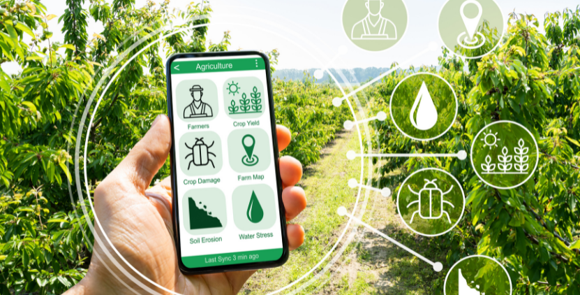 Ilustrasi Smart Farming dengan penggunaan teknologi seperti IoT dan drone